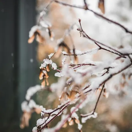 Bregenzerwald Prázdninový dům Egg